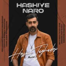 آهنگ جدید حسین تقدسی به نام حاشیه نرو